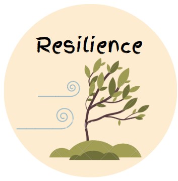 Resilience bouncing back